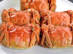 -蟹榭·本帮江浙菜·蟹宴(五角场合生汇商场店)