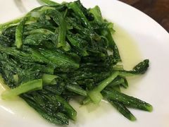 清炒油麦菜-清真·伊清阁餐厅