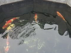 -西安市广仁寺