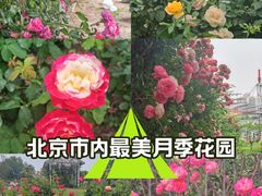 -太阳宫公园