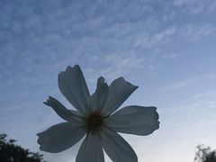 -梁鸿国家湿地公园