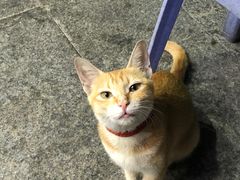 -官塘陈记鱼生·潮汕砂锅粥·牛肉火锅(潮枫路总店)