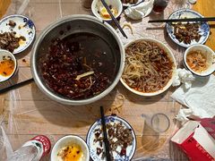 -食神又名厕所兔