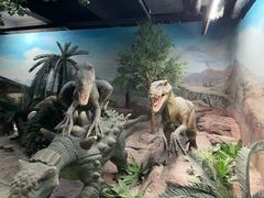 -国家自然博物馆