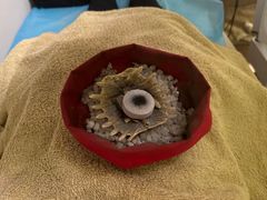 -南京君和堂中医门诊部