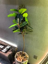 -不迫先生专业男士剪发