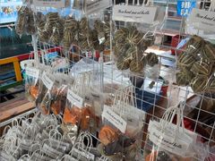 -蓝湾碧波·老字号·疍家非遗海上餐厅