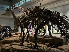 -自贡恐龙博物馆