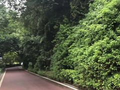 -金鸡山公园