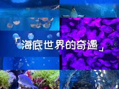 -郑州海洋馆
