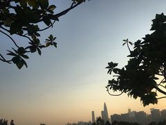 -棕榈泉国际高尔夫学院