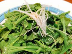 清炒南瓜尖儿-巴依老爷新疆美食(常营店)