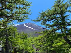 -富士山吉田線五合目