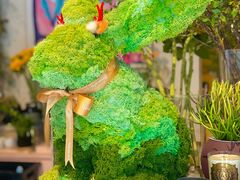 -PlantsEatery·植物食堂(REX春熙店)