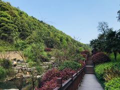 -桃花岭景区