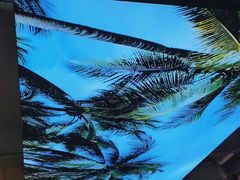 -探窝·竹笙椰子鸡(杨箕店)