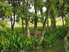 -中国天府农业博览园