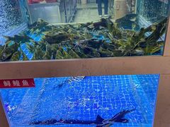 -石锅苗苗鱼(武汉首店)