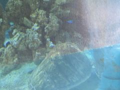 -北国之春国宴(乌兰察布店)