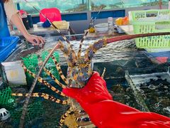 -清水湾3号(东方小周海鲜店)