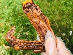 -竺桥兄弟烤鸭馆(竺桥店)
