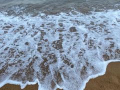 -日照海滨国家森林公园