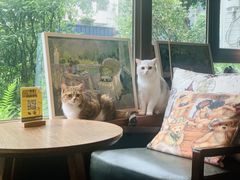 -咖法森林·咖啡  酒吧(天河店)