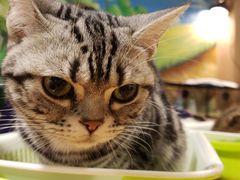 -藦茜花园宠物主题亲子互动体验馆(国顺东路店)