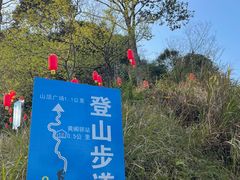 -广州市帽峰山景区