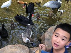 -大连森林动物园