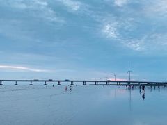 -南汇新城海滩