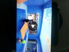 -蓝鲸奇亲子游泳俱乐部