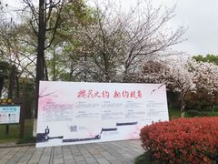 -堤角公园