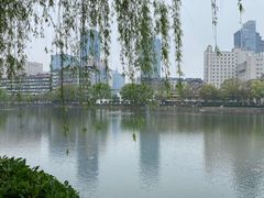 -宝岛公园