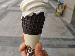 椰子冰激凌-喜茶(合肥中环城店)