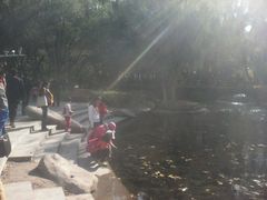 android_upload_pic-水磨沟公园