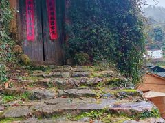 -杨家堂村