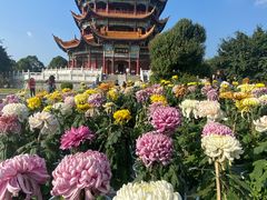 -富乐山
