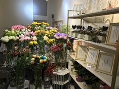 -花未央花店·WEYOUNG