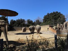 -杭州野生动物世界