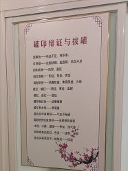 -寇氏拔罐减肥
