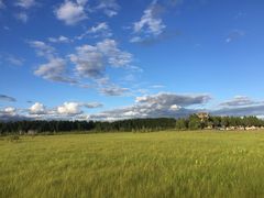 塞罕坝国家森林公园-塞罕坝国家级自然保护区