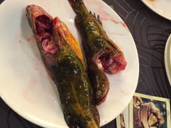 -常州环球恐龙城维景国际大酒店