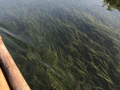 -生态苑农庄(十里画廊遇龙河店)