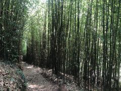 -井空里大峡谷