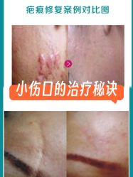 -薇薇安花系SPA