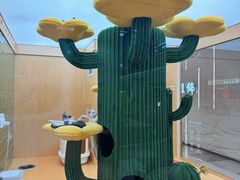 -帕帕拉兹宠物(亚洲旗舰店)