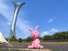 -沈阳植物园