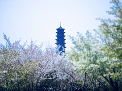 -江苏三台山国家森林公园