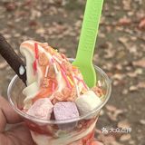 不允许你还没吃过Kiwi冰淇淋🍦！